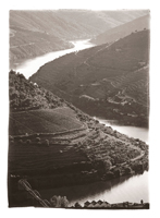 Ponte do Pinhão sobre o Douro, 2008