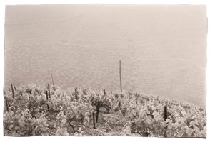 Chuva no vale do Douro, 2008