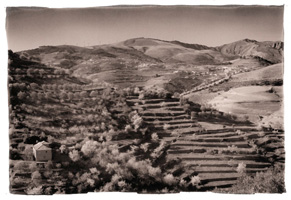 Paisagem do Douro moderno, 2008