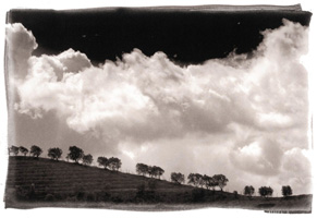 Oliveiras na pauta, Régua, 2008