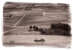 Recordação de Burgundia, 2008