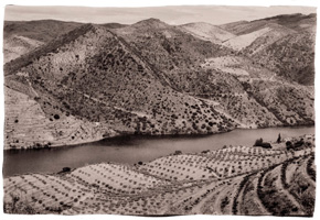 Paisagem do Douro I, 2008