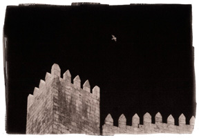 Castelo e gaivota, Porto, 2008