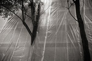 Christo's Nightmare, 2005