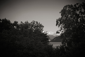 Room with a View, 2007