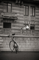 The bike and the cow, 2005