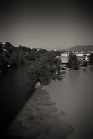 Interethnical Marriage, 2009