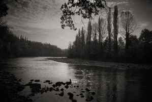 The Innocent Walk, 2007