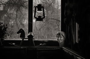 Curiosity killed the philosopher, 2006