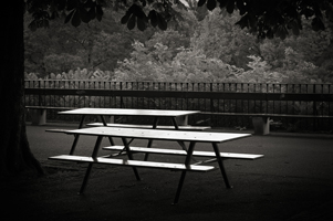 The Wedding Party, 2005